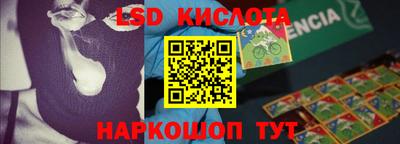 PSILOCYBIN Кунгур