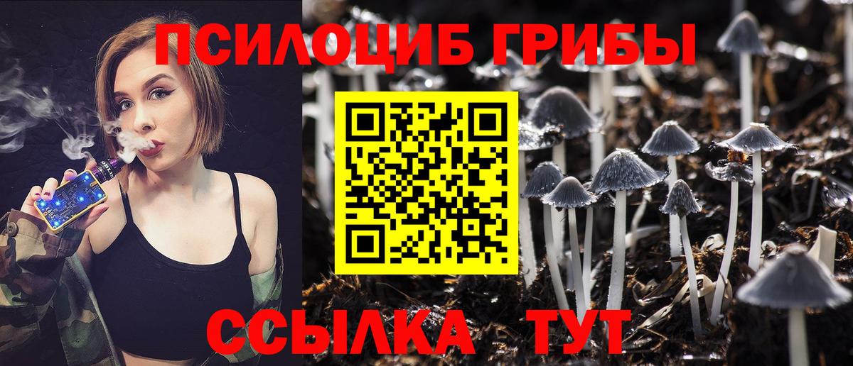 Галлюциногенные грибы Psilocybine cubensis  Вход с VPN  Шали 