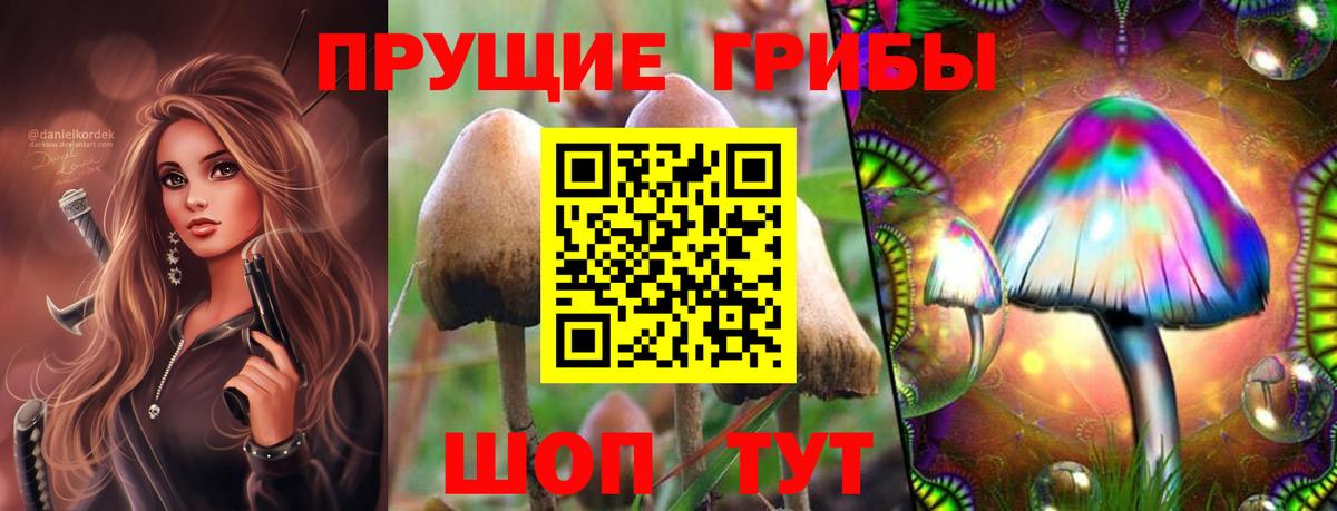 Галлюциногенные грибы мицелий Шали